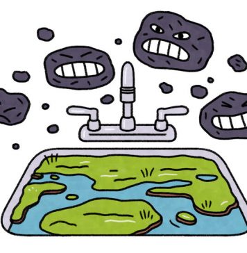 Lesson of the Day: Peat, the Unsung Hero of Carbon Capture Lesson of the Day: Peat, the Unsung Hero of Carbon Capture