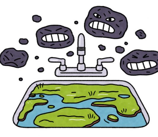 Lesson of the Day: Peat, the Unsung Hero of Carbon Capture Lesson of the Day: Peat, the Unsung Hero of Carbon Capture