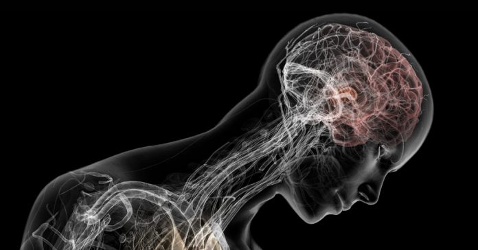 Lesson of the Day: ‘How Long Covid Exhausts the Body’