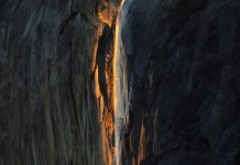 What Is the Coolest Thing You Have Seen in Nature? What Is the Coolest Thing You Have Seen in Nature?