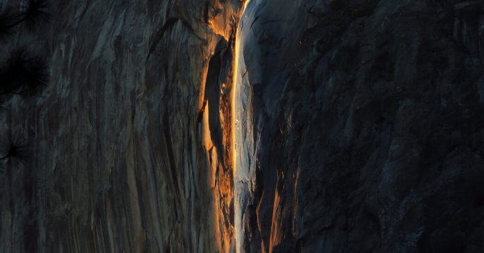 What Is the Coolest Thing You Have Seen in Nature?