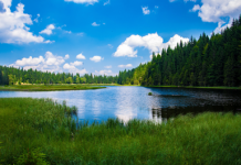 World Water Day 2022-Making the Invisible Visible. World Water Day 2022-Making the Invisible Visible.