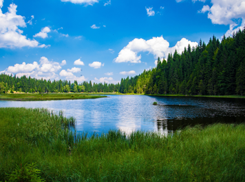 World Water Day 2022-Making the Invisible Visible. World Water Day 2022-Making the Invisible Visible.