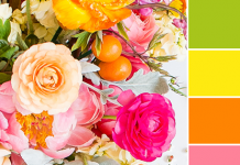 Color Love | Bright Green, Yellow, Orange & Pink Color Love | Bright Green, Yellow, Orange & Pink