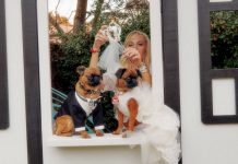 What Do You Think of Pet Weddings? What Do You Think of Pet Weddings?