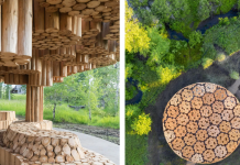 Weekly News Quiz for Students: Sunshine Protection Act, Aviation Disaster, Invasive Species Weekly News Quiz for Students: Sunshine Protection Act, Aviation Disaster, Invasive Species