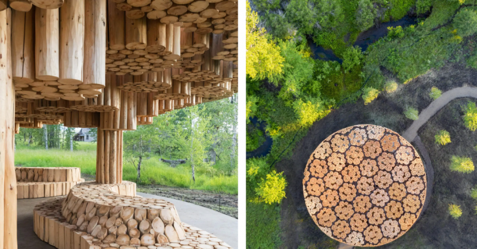 Weekly News Quiz for Students: Sunshine Protection Act, Aviation Disaster, Invasive Species