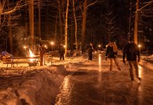 Vocabulary in Context: Forest Skating Vocabulary in Context: Forest Skating