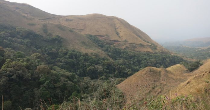 How Much Do You Know About Guinea?