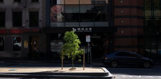 Your Favorite Tree Your Favorite Tree