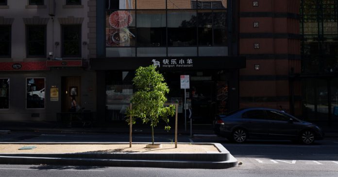 Your Favorite Tree