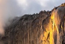 Weekly Accessible Learning Activities: Spider Friends, ‘Firefall,’ Grief Camp Weekly Accessible Learning Activities: Spider Friends, ‘Firefall,’ Grief Camp