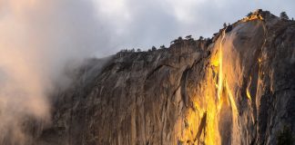 Weekly Accessible Learning Activities: Spider Friends, ‘Firefall,’ Grief Camp Weekly Accessible Learning Activities: Spider Friends, ‘Firefall,’ Grief Camp