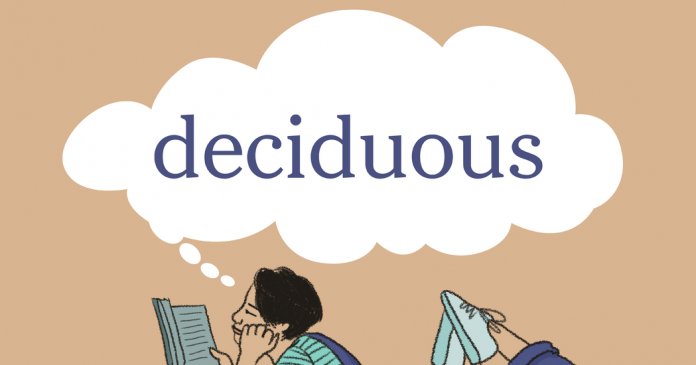 Word of the Day: deciduous