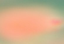 How Important Is Mindfulness to Your Daily Life? How Important Is Mindfulness to Your Daily Life?