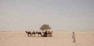 How Much Do You Know About Qatar? How Much Do You Know About Qatar?