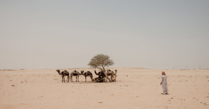 How Much Do You Know About Qatar?