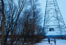 Weekly Accessible Learning Activities: Yawning, Walking, Mowing the Lawn Weekly Accessible Learning Activities: Yawning, Walking, Mowing the Lawn