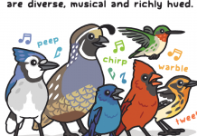 Weekly Accessible Learning Activities: Pigeons, Community Diversity, Film Club Weekly Accessible Learning Activities: Pigeons, Community Diversity, Film Club