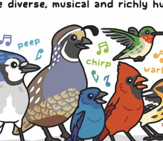 Weekly Accessible Learning Activities: Pigeons, Community Diversity, Film Club Weekly Accessible Learning Activities: Pigeons, Community Diversity, Film Club
