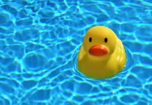 Digest #162: Teaching Water Safety Digest #162: Teaching Water Safety