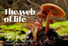 AIUSlides: The Web of Life (Rights of Nature) AIUSlides: The Web of Life (Rights of Nature)