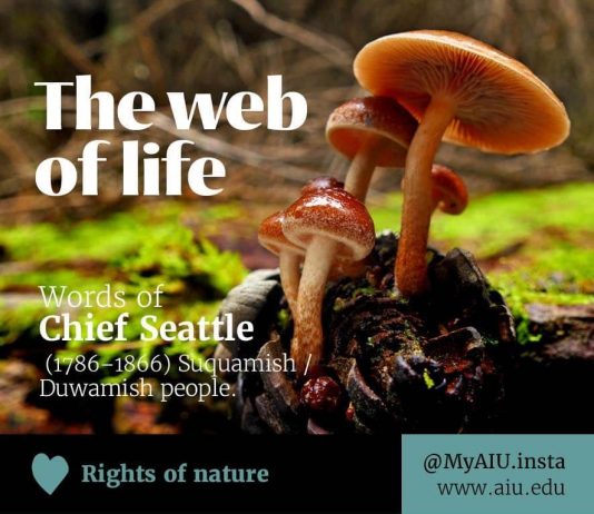 AIUSlides: The Web of Life (Rights of Nature) AIUSlides: The Web of Life (Rights of Nature)