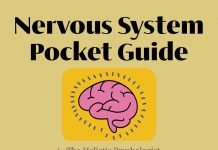 AIUSlides: Nervous System Pocket Guide AIUSlides: Nervous System Pocket Guide