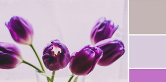 Color Love | Green, Purple & Taupe Color Love | Green, Purple & Taupe