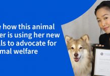 How do you turn your passion into your purpose? How do you turn your passion into your purpose?