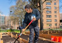 Lesson of the Day: ‘The Unlikely Ascent of New York’s Compost Champion’ Lesson of the Day: ‘The Unlikely Ascent of New York’s Compost Champion’