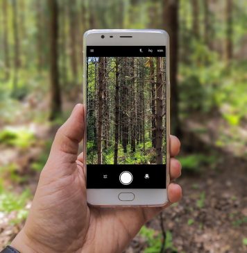 GUEST POST: Can Digital Detox Improve your Learning Abilities? GUEST POST: Can Digital Detox Improve your Learning Abilities?