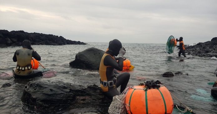 Student Contest Winner: Haenyeo, Real-Life Aquawomen