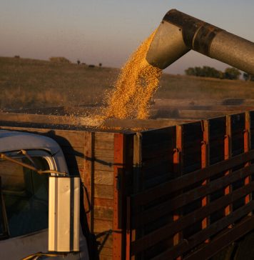 Planting the Next Chapter of Farming Planting the Next Chapter of Farming