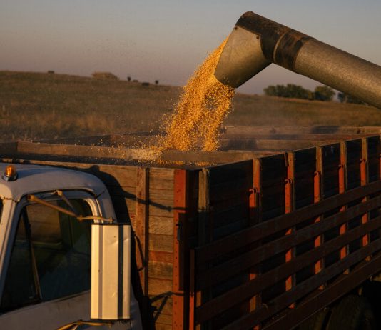 Planting the Next Chapter of Farming Planting the Next Chapter of Farming