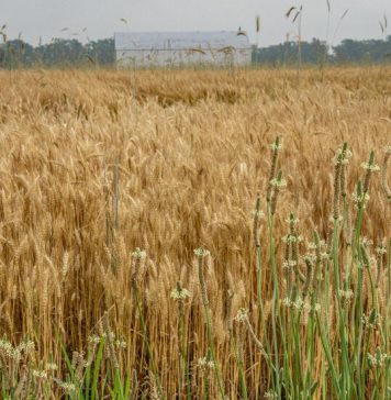 Finding Traces of Harriet Tubman on Maryland’s Eastern Shore Finding Traces of Harriet Tubman on Maryland’s Eastern Shore