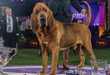 Summer Reading Contest, Week 3: What Got Your Attention in The Times This Week? Summer Reading Contest, Week 3: What Got Your Attention in The Times This Week?