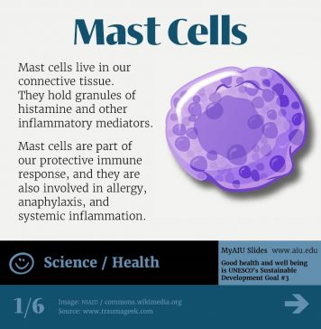 AIU Slides: Mast Cells AIU Slides: Mast Cells