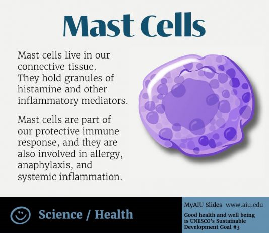 AIU Slides: Mast Cells AIU Slides: Mast Cells