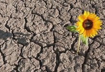 RESILIENCE RESILIENCE