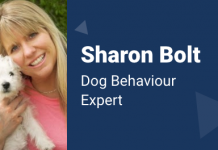 Alison Publisher Spotlight Interview – Sharon Bolt Alison Publisher Spotlight Interview – Sharon Bolt