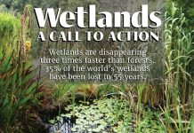 AIU Slides: Wetlands AIU Slides: Wetlands