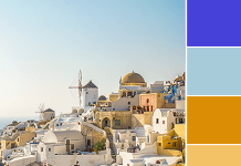 Color Love | Mustard & Blue Color Love | Mustard & Blue