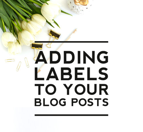 Comment on Adding Labels to Blog Posts – Blogger Basics You Need To Know by SVRajesh Comment on Adding Labels to Blog Posts – Blogger Basics You Need To Know by SVRajesh