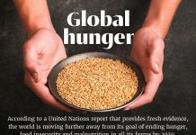 MyAIU Slides: Global Hunger MyAIU Slides: Global Hunger