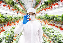 + Flavor- Carbon Print = Sustainability + Flavor- Carbon Print = Sustainability