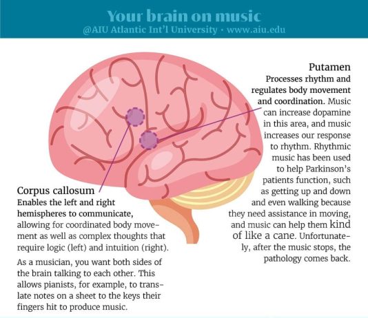 AIU Slides: Your brain on music AIU Slides: Your brain on music