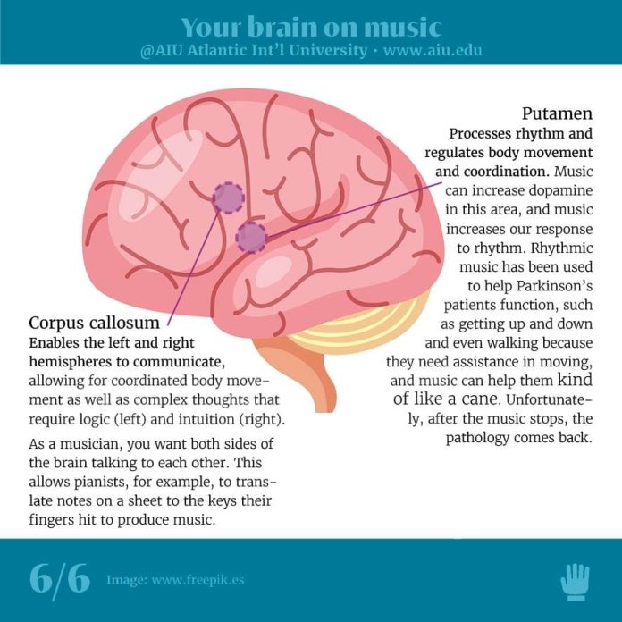 AIU Slides: Your brain on music