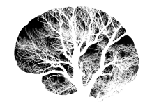 Digest #167: Should we give up on growth mindset? Digest #167: Should we give up on growth mindset?