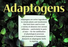 AIU Slides: Adaptogens AIU Slides: Adaptogens